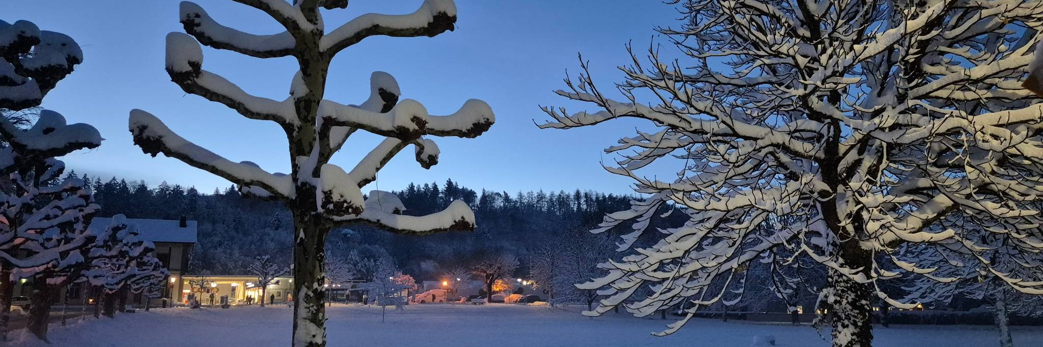 Wangen an der Aare